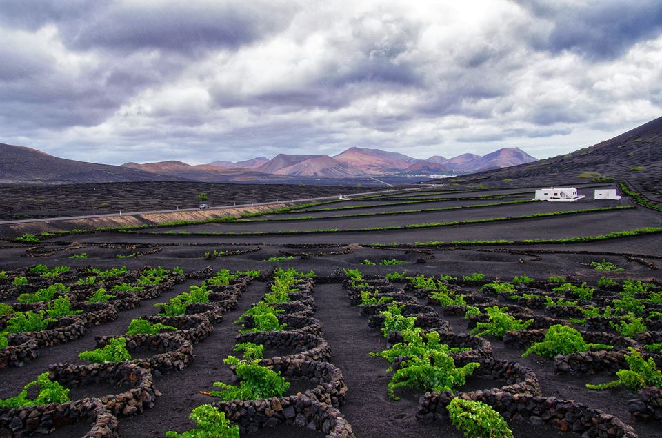 vipvipvillas-excursiones-sur-lanzarote- (2) La Geria