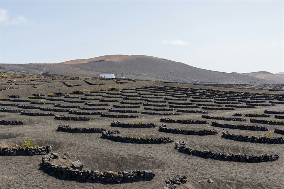 vipvipvillas-excursiones-sur-lanzarote- (3) La Geria en Lanzarote